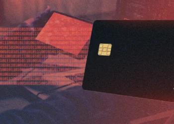 Focus Crimes and Digital Fraud Surge in 2025