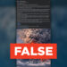 FACT CHECK: AI-generated photo falsely shows Mount Fuji eruption