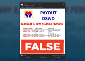 FACT CHECK: DSWD not giving ₱29,000 cash aid to Facebook commenters