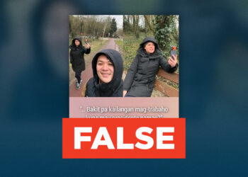 FAKE NEWS: Vice President Sara Duterte says “Bakit pa kailangan mag-trabaho kung may presidente naman?” 
