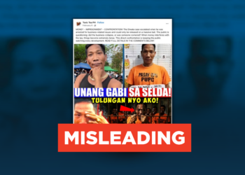 FACT CHECK: No reports confirm Diwata’s arrest over food business