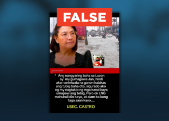 Fact check: USEC Castro allegedly said that flooding was caused by people intentionally blocking canals